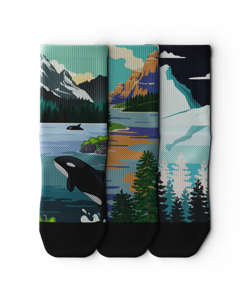 Northern Trip Athletic Quarter Socks 3-Pack