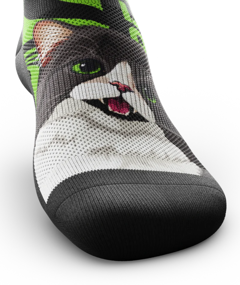 Persian Tuxedo Athletic Crew Socks - Image 6